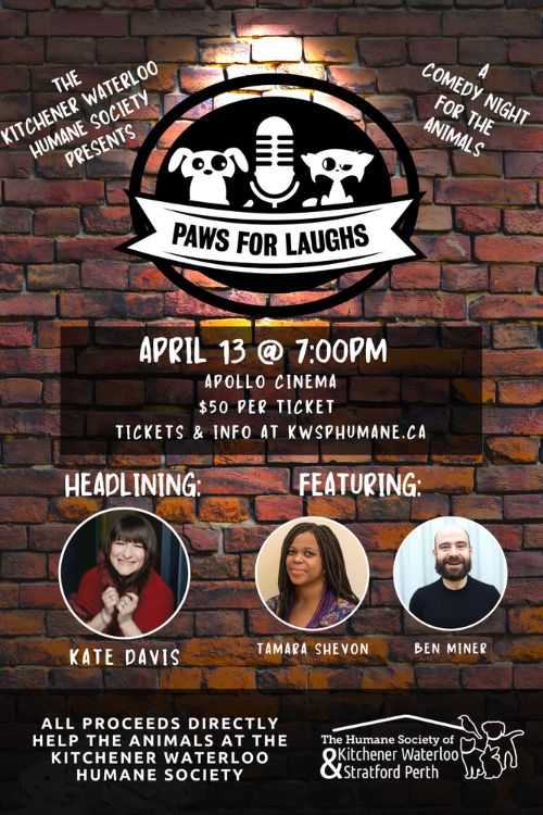 Paws for Laughs